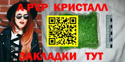 spice Кингисепп