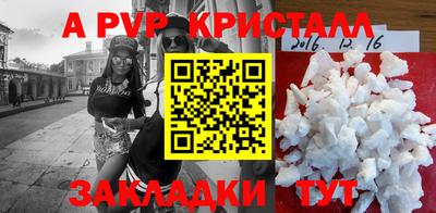 spice Кингисепп