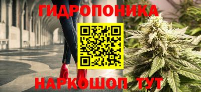 spice Кингисепп