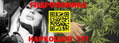 сатива Кимры