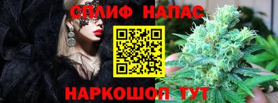 spice Кингисепп