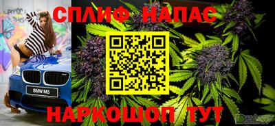 spice Кингисепп