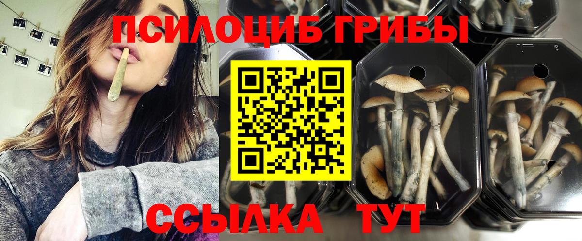 Галлюциногенные грибы мицелий Кострома