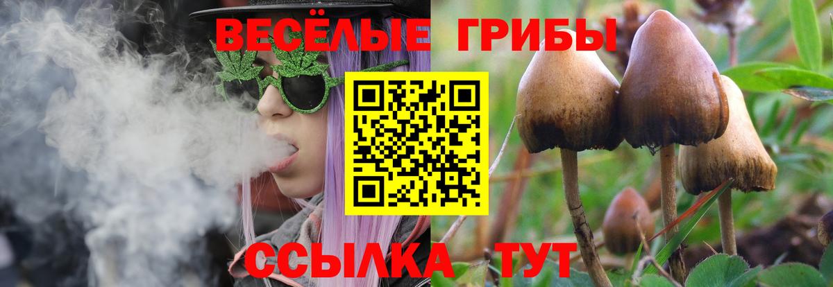 Кострома  Галлюциногенные грибы Cubensis  Псилоцибиновые грибы прущие грибы  Вход с VPN 
